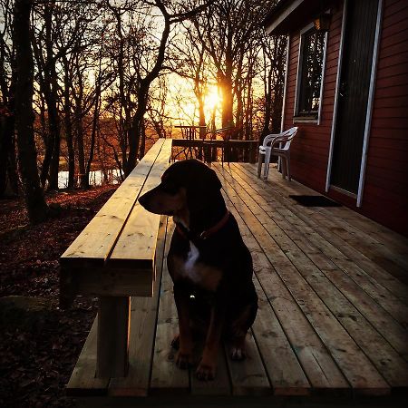 Farm Stay Happy Dogs Ranch Veberod Luaran gambar