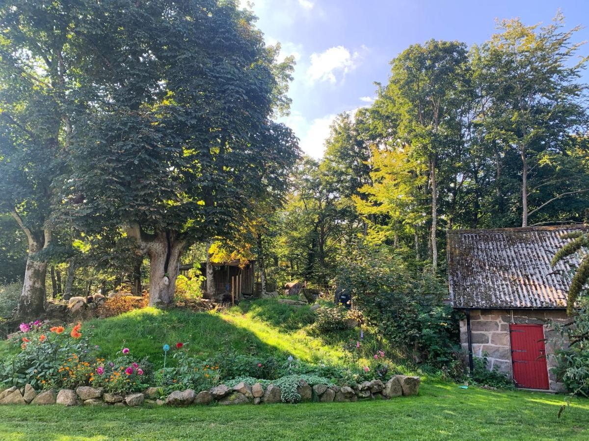 Farm Stay Happy Dogs Ranch Veberod Luaran gambar