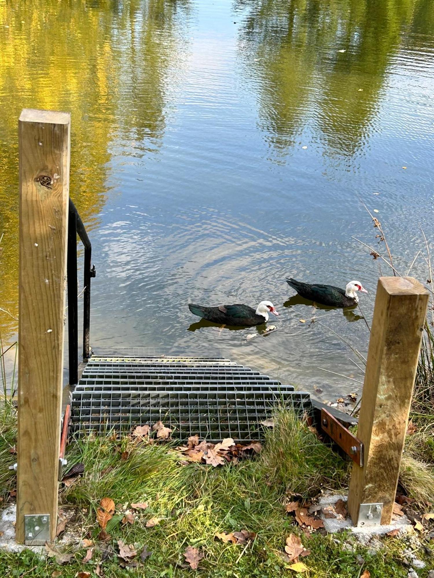 Farm Stay Happy Dogs Ranch Veberod Luaran gambar