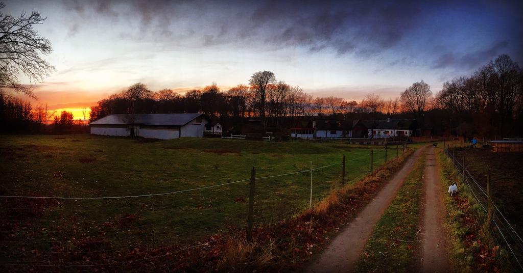 Farm Stay Happy Dogs Ranch Veberod Luaran gambar