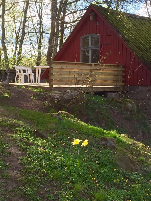 Farm Stay Happy Dogs Ranch Veberod Luaran gambar