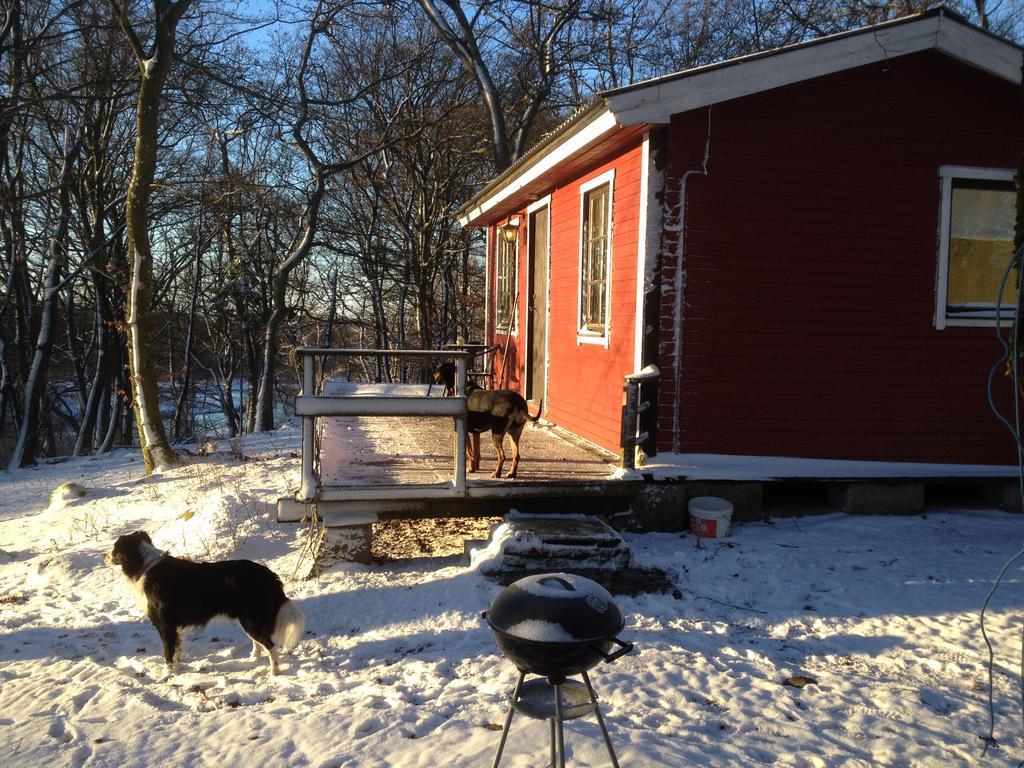 Farm Stay Happy Dogs Ranch Veberod Luaran gambar